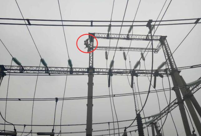 綜合型智能超聲波驅鳥器 為保護變電站驅鳥提供有力支持 綜合型智能超聲波驅鳥器 為保護變電站驅鳥提供有力支持